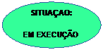 Elipse: SITUAO:

EM EXECUO
